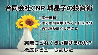 合同会社CNP 城晶子の投資術