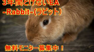 ラビット
