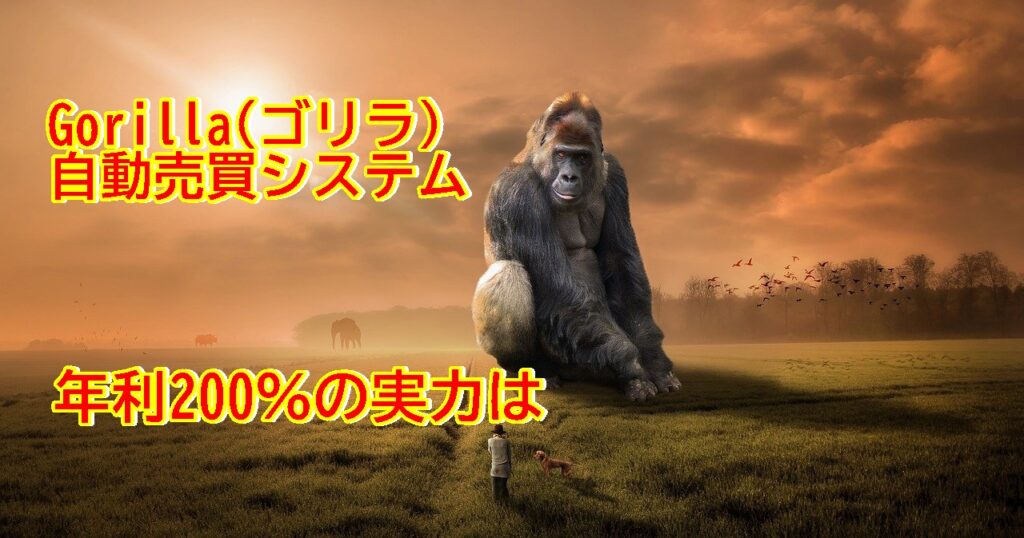 Gorilla(ゴリラ)